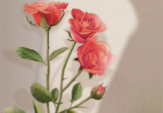 祝天下女神們節(jié)日快樂?。?！